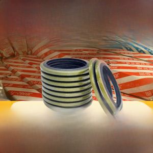 Combination Sealing Ring High Pressure Diesel Oil Pipe Nut Hollow Screw Drainage Pad Hydraulic Oil Tube Connector Car