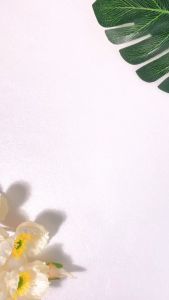 THE FACE Gentle Facial Cleanser With Treme-HA & Panthenol 100ml