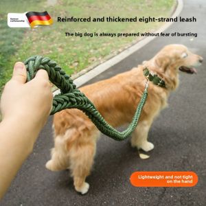 MONLEYTA | Shock Absorbing Adjustable Dog Leash for Medium and Large Breeds