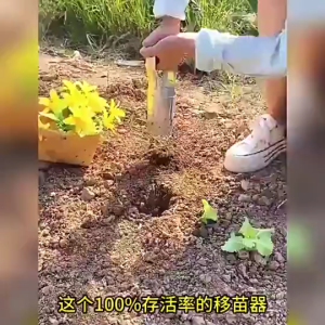 Vegetable Seedling Tube Planting Transplanter Garden Handheld Seedling Extractor Planting Tool