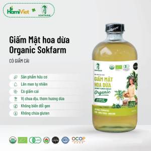 Giấm mật hoa dừa hữu cơ Sokfarm từ 100% tự nhiên có giám cái tự nhiên chứa enzyme giàu khoáng chất