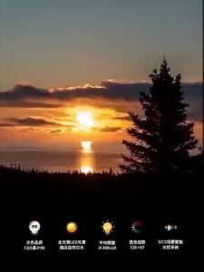 Creative Full Spectrum Weathered Wood Ring Ceiling Light Eye Protection Home Use Non-Flickering Wood Grain Study Bedroom Lighting