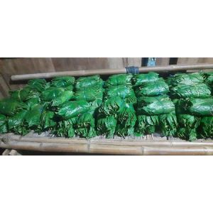 daun sirih segar Rp 20000 81 lembar