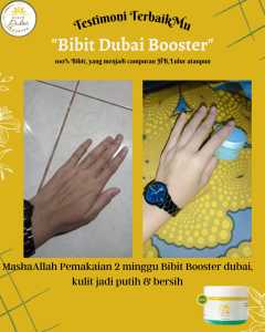 bibit booster dubay