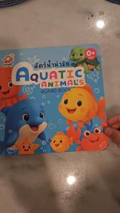 Board book บอร์ดบุ๊ค หนังสือคำศัพท์กระดาษแข็งฉีกไม่ขาด