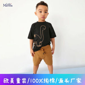 Little Maven Summer Short Sleeve Boys Set New Children Two-Piece Set Childrens T-Shirt Pants Set Cotton 100% Suitable for Ages 15