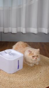 3L Auto Pet Water Fountain w/ LED Light & Filter - Low Water Alarm for Cats/Dogs - PH Stock