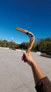 Đồ chơi Boomerang Gỗ Vận Động Ngoài Trời Sáng Tạo Cho Bé Mới Nhất 2026