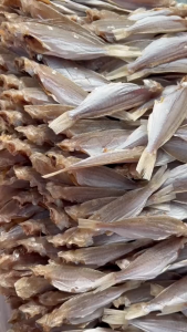 500G Khô cá đổng ít xương dày thịt thơm ngon bỗ dưỡng