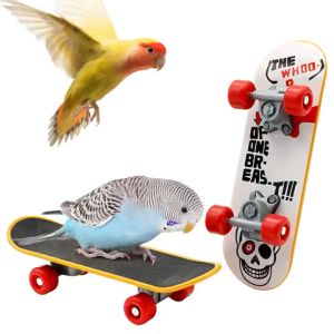 Bird Parrot Intelligence Toys Pet Parrot Intelligence Training Tool For Small Bird