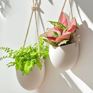 Creative Wall White Mounted Flowerpot Serie Succulent Flowerpot Flower Basket Flower Arrangement Decoration Garden Decoration