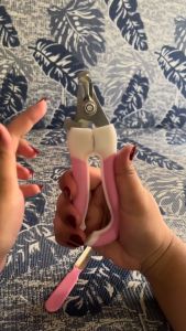 Free File Nail Cutter Pet nail cutter Nail Clippers silicon handle dog cat Stainless Steel dogs cats