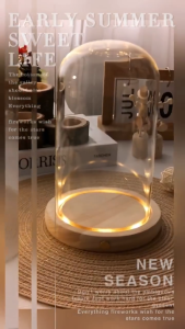 Glass Dome With Wooden LED Lights Base for Home Display DIY
