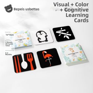 Usbettas | Infant Early Education Visual Stimulation Cards Toys
