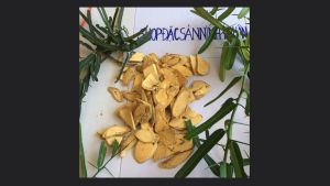 Xáo tam phân ( cây thần dược thần xạ cải lão trường sinh) được hái từ rừng chữa nan y u bướu ung thư rất hiệu quả.