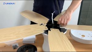 DunDun เปลี่ยนสีไฟ LED สำหรับผู้ชาย 42-48 นิ้ว พัดลมเพดาน มีรีโมท ควบคุม 52 นิ้ว รีวิว เป็นเพื่อนของคุณ