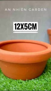 Chậu Đất Nung Hình G đầy đủ Kích thước - Trồng Sen Đá - Xương Rồng- LỖI 1 ĐỔI 1