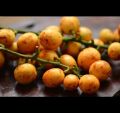 Buah menteng 500 gram buah kapundung buah langsat buah duku condet buah musiman buah langka. 