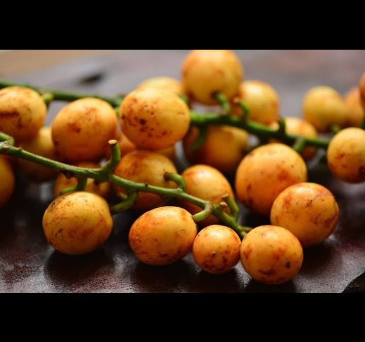 Buah%20menteng%20500%20gram%20buah%20kapundung%20buah%20langsat%20buah%20duku%20condet%20buah%20musiman%20buah%20langka%20-%20Image%208