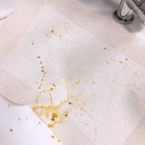 Tatakan Piring Tahan Air | Alas Piring Dekorasi Meja Makan | Tatakan Alas Meja | Alas Meja Makan | Tatakan Piring Gelas Meja Makan | Table Mat Anti Panas