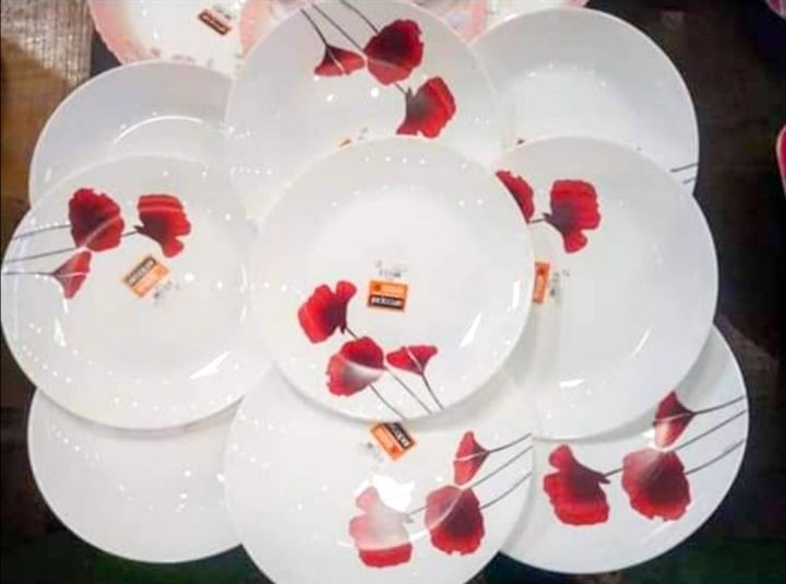 Bertille Arcopal Dinner Plates French 25cm Brand Dishwasher Safe