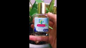 Parfum Wanita 30ml Spray Slena Gmz | Parfum Cewek Harian Elegan