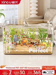 XINGYOU | New Ecological Desktop Aquarium Small Square
