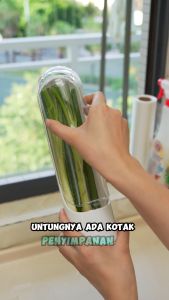 JUKTA COD Herb Storage Wadah Penyimpanan Seledri Daun Bawang Mint Kemangi Bumbu