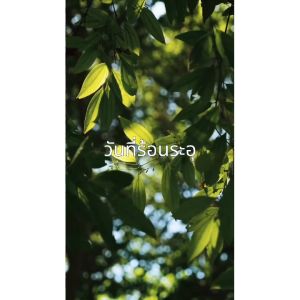 Dexter เบบี้ครีมเนื้อบิงซู เย็นฉับไว3-5°C ลดแดงคัน+ชุ่มชื้น12ชม. #ปลอดภัยแม้ทารก