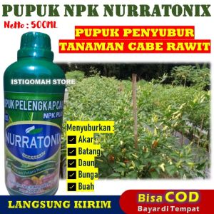 Pupuk Penyubur Akar Batang Daun dan Buah Tanaman Cabe Rawit NPK NURRATONIX 500ML Pupuk Pelebat Buah Cabe Rawit Pupuk Agar Cabe Rawit Berbuah Lebat dan Banyak Hasil Panen Cabe Melimpah