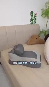 Wedge Shape Memory Foam Pillow Ergonomic Support for Neck Back Leg Rest Bed Sofa Reading Use Pain Relief Comfort