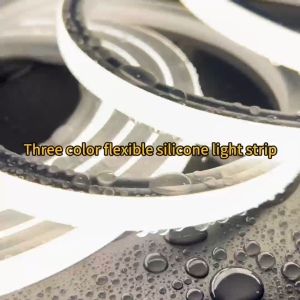220V Tri-colors LED Strip 3M-30M Remote Dimmable Waterproof 10*10 + Free Adapter