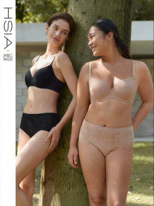 HSIA | Invisible Seam-free Large Breasts Minimizer Full Coverage Bra