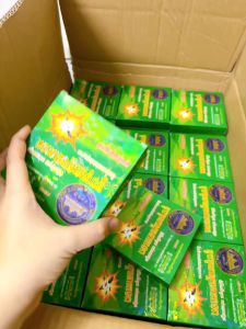 Combo 10 Hộp Nhang Muỗi Khoanh CPDM Thái Lan Hộp 10 Khoanh