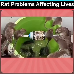 10PCS Mouse Repeller Repellent Mouse Cockroach Insect Repellent Powerful Rats Repeller Mothballs