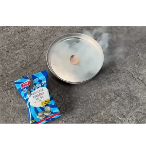 2G*10PCS/Tas Asap Insektisida Insect Killer Kutu Kasur Pembasmih Cicak Racun Kecoa Alat Pengusir Nyamuk Perangkap Lalat Tikus Multifungsi