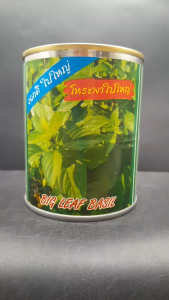 ปลาทอง โหระพาใบใหญ่ ขนาด 30 กรัม  หมดอายุ 05/2570  โหระพา ลอตใหม่ ลำต้นแข็งแรง โตไว ใบใหญ่ มีกลิ่นหอมมาก ต้นสูง 80-90 ซม. เก็บผลผลิตนาน npkfarm