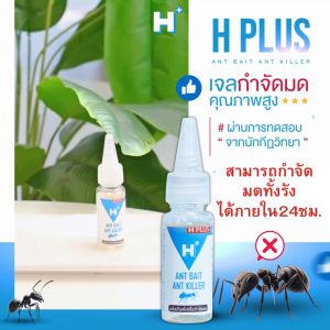 เจลกำจัดมด [กำจัดมด H PLUS] - รูปลักษณ์กำจัดมด [ANT BAIT] - การเล่นกำจัดมด [ANT KILLER]