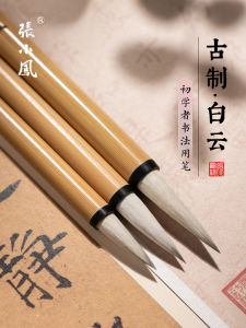 Zhang Xiaofeng Beginner Calligraphy Brush Set Chinese Character Practice Tools Lambswool And Wolf Wool Brushes for Writing And Painting