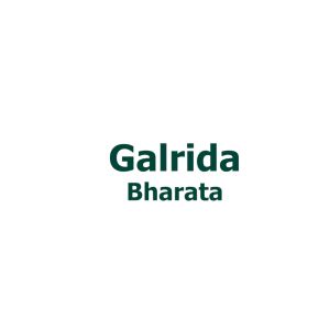 Galrida Bharata Original Obat Herbal Kanker Payudara Kanker Servik Tumor Ampuh Tanpa Operasi BPOM
