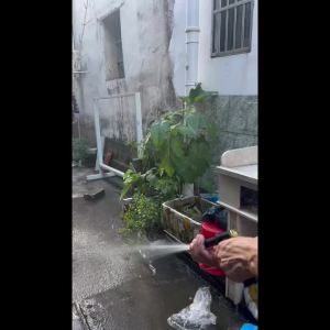 New Water Pipe for Garden: Magic Telescopic Water Pipe Set High Pressure Car Wash Watering Horticulture Large Function Hose