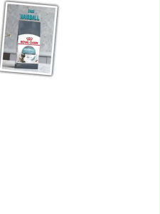 Royal Canin Hairball Care อาหารเม็ดแมวโต ดูแลปัญหาก้อนขน อายุ 1 ปีขึ้นไป (Dry Cat Food)