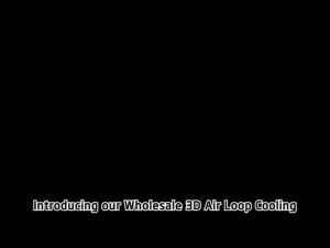 Turbo Stand Fan Rechargeable Inverter Electric Fan With Remote Control Air Circulation Fan Floor Fan Small Stand Fan