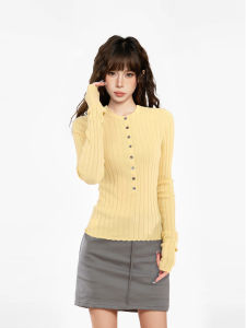 Yellow Slim Fit Long Sleeve Knitted Shirt Womens Spring Autumn Early Autumn Design Base Layer Short Top Commute Style