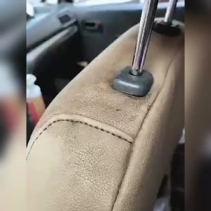 Car Interior Mildew Remover Multi-Purpose Black Spot & Mold Remover for Interior Surfaces Auto Interior Restoration Product