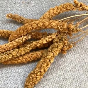 250/500g Bird Feed Spray Millet Yellow Parrot Food for Cockatiel Lovebird Hamsters