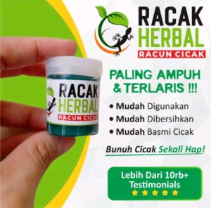 Racun Cicak Ampuh