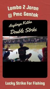 Essen Ikan Mas BERGARANSI - Paket 2 Botol