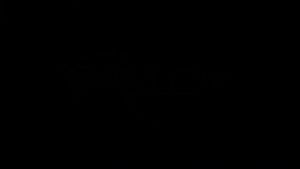 FAST DELIVERY ZEALOT Speaker Bluetooth Full Bass Outdoor Portable TWS Waterproof IP65 1800mAh Charge