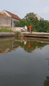 Lưới kéo cá vó cất cá nhỏ cá lòng tong loại mau cạnh 24mx24m màu vàng da đồng ( hàng mới về)